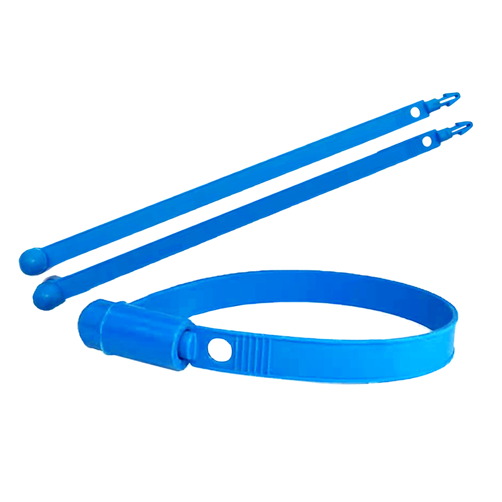 Con dấu băng nhựa Plastic Band Seals