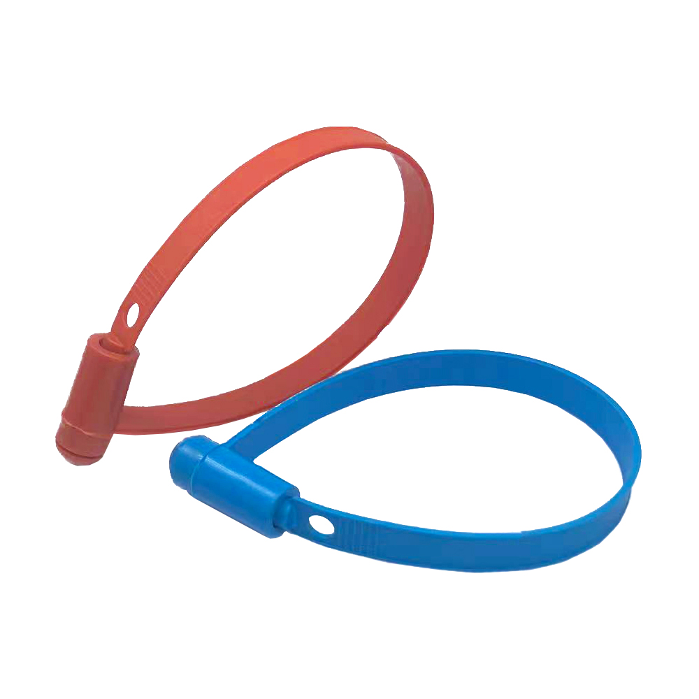 Con dấu băng nhựa Plastic Band Seals