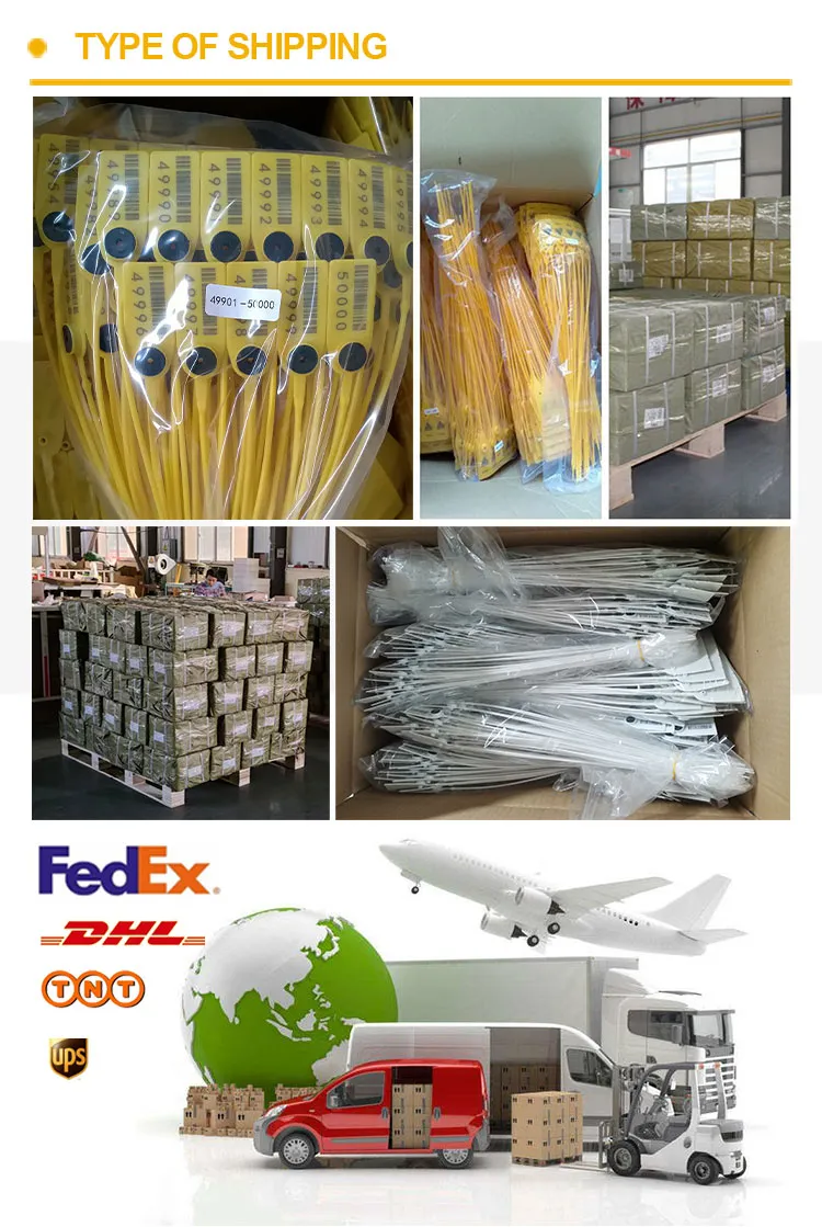 Vận chuyển & Giao thông vận tải Shipping&Transportation