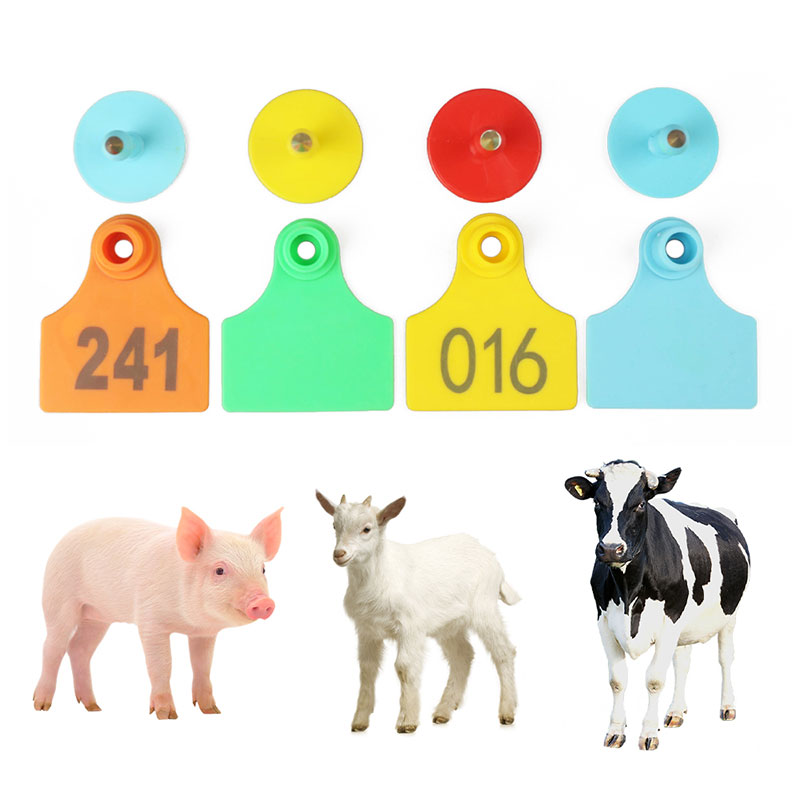 thẻ tai động vật thẻ tai động vật