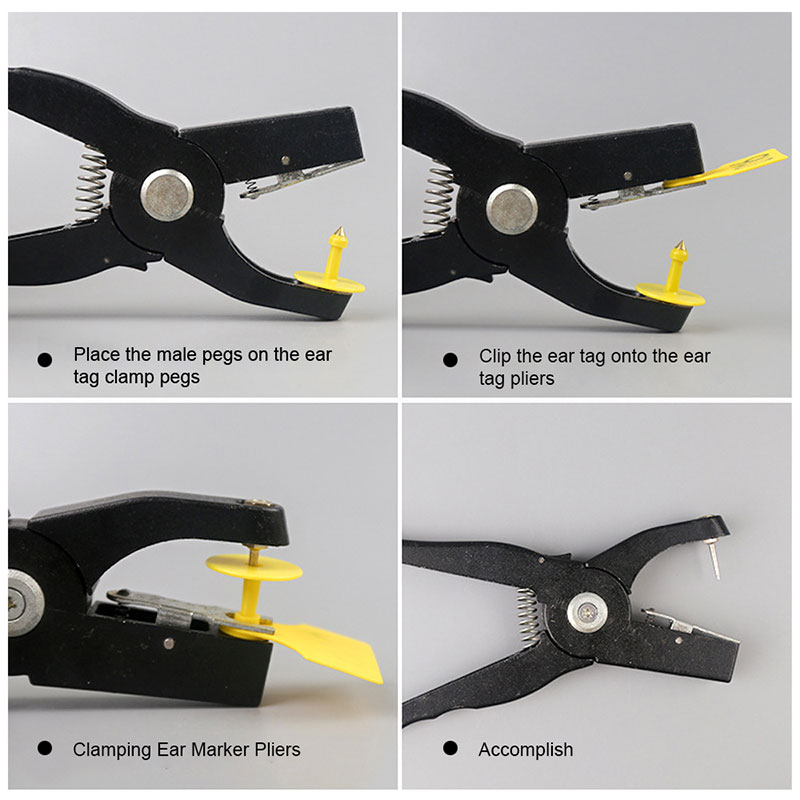 Ứng dụng thẻ tai động vật Ứng dụng thẻ tai động vật